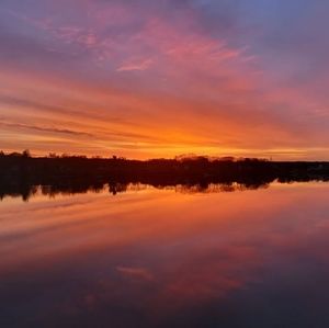 Meet your Posher, Alana